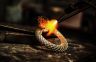 Alireza Falahat Pisheh - Dents de serpent