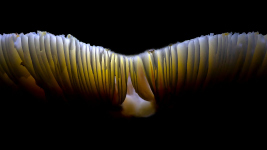 03-04
