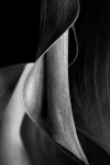 06-04