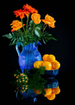 02-04