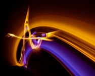 Colibri éphémère | Jocelyn Guévremont