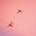 Esprits | Martin Tampier