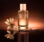 Simplement Dior | Nicole Gélinas