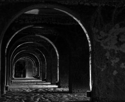Tunnel - Lyne Boucher