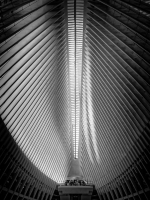 L'Oculus - Geneviève Massé