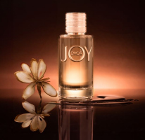 Simplement Dior - Nicole Gélinas
