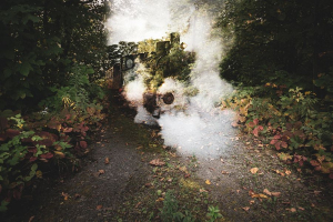 Cauchemar en forêt - Martin Tampier