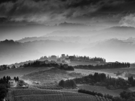 Pure Toscane - Nathalie Mercier
