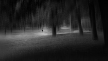 Solitude - Richard De Francesco