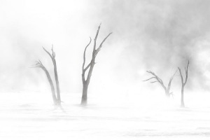 La tempête - Marie-Claude Gravel