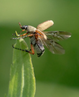 Décollage | Martin Tampier