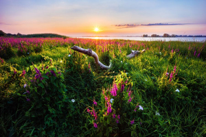 Lueur matinale | Sébastien Gagnon