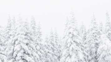 Enneigement | Sébastien Gagnon