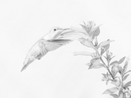 Songe floral | Melody Ross