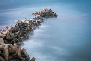 Ballet des marées | France Bouchard