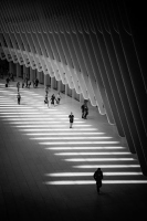 Lignes interlignes | Michelle Dion