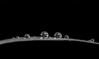 Bulles métalliques | Brigitte Clerk