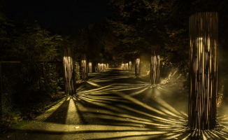 Mystère | Lyne Boucher