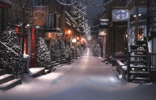 Douceur d'une nuit neigeuse | Michelle Dion