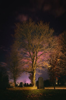 Nos racines | Marie-Josée Patry