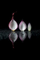 Perles d'oignons | Marie-Josée Patry