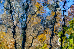 Lumières de septembre | Émile-Yvon Dubeau