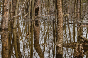 Je n'ai pas fini d'avaler | Yves Ménard