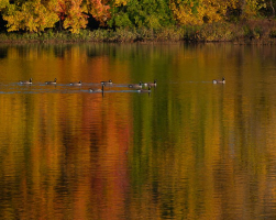 Peinture naturelle | Diane Lavoie
