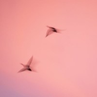 Esprits - Martin Tampier