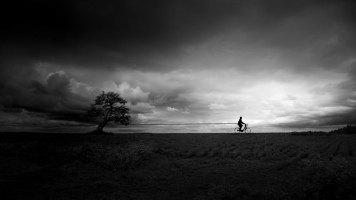 L'homme qui déplacait les arbres - Richard De Francesco