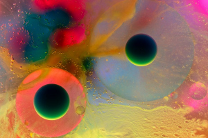 Macro Univers - Jocelyn Guévremont