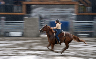 Au grand galop - Diane Lavoie
