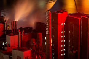 La beauté écarlate