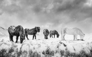 Dans le froid du matin